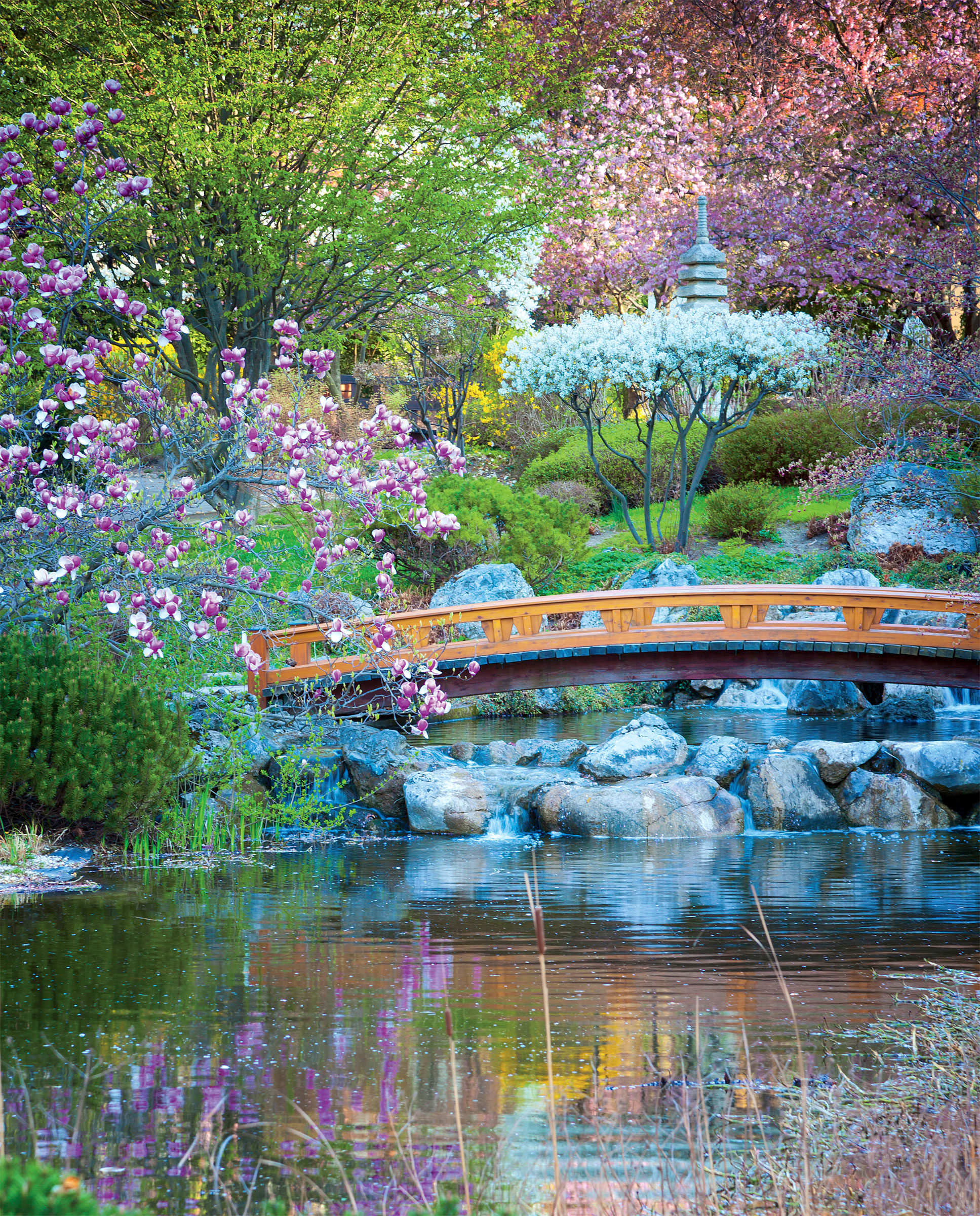 Zmysły ukojone w ogrodzie w stylu orientalnym